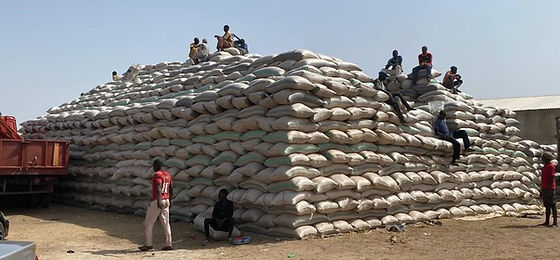 Zamfara State Projects