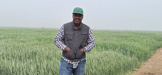 Jigawa State Projects